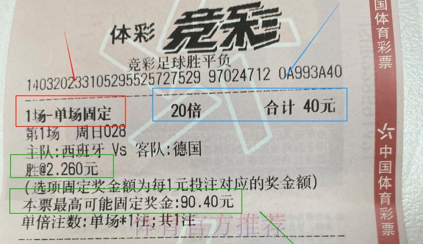 世界杯彩票10元投注技巧指南